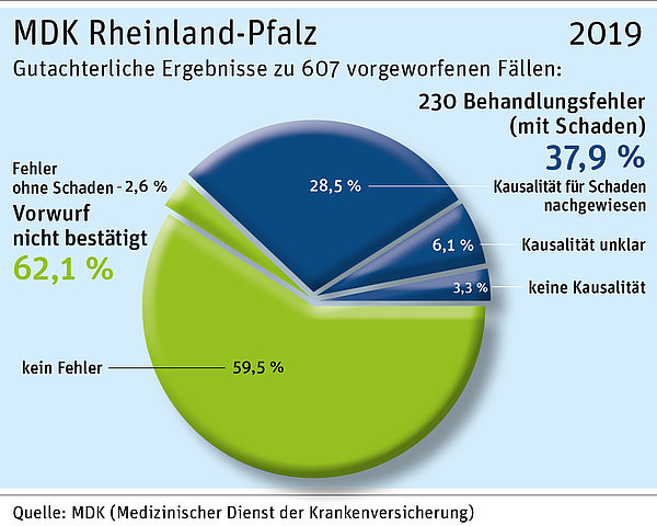 Grafik 2019: Gutachterliche Ergebnisse zu 607 vorgeworfenen Fällen